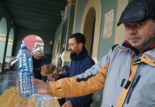 Tineo mantiene el control de la avispa asiática con reparto de atrayente