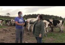 Entrevista a Miguel González de Ganadería Feli en Villar de Tazones