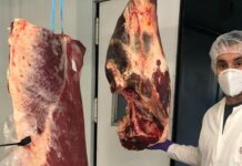 Casa Milia: “La incorporación del Vacuno Mayor a la IGP ha dado confianza”