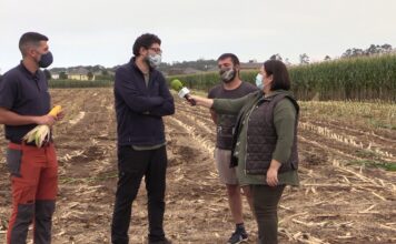 Entrevista a Sergio de Ganadería Milhombres S.C. (Andés)