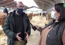 PROGRAMA 5. Mirando al Futuro, ganadería, viticultura y turismo rural en Cangas del Narcea