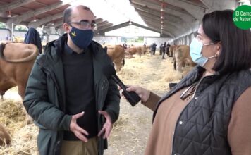 PROGRAMA 5. Mirando al Futuro, ganadería, viticultura y turismo rural en Cangas del Narcea