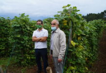 Luis Loza: “La faba que lleva etiqueta IGP se valora más”