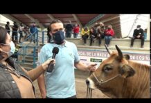 Reina, campeona de terneras tipo culón