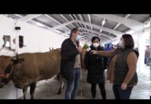 José Ramón Feito y Pamela Peláez, feria de San Francisco (Tineo)