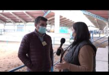 Entrevista a Nino Rodríguez, director general de Ganadería y Sanidad Animal