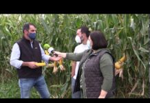 Adolfo Peláez de Ganadería Cancello (Coaña) y David Millán de Syngenta