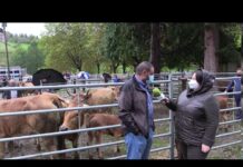 Entrevista José Antonio Cuevas, concejal de Medio Rural de Piloña