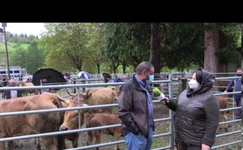 Entrevista José Antonio Cuevas, concejal de Medio Rural de Piloña
