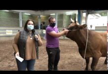 Ángel Berdasco, propietario de Sena, novilla campeona tipo normal