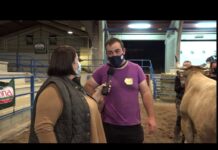 Ángel Berdasco, propietario lote de criador tipo culón