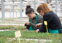 Cultura alimentaria y consumo sostenible para el futuro de la alimentación