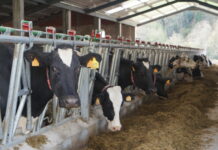 COAG Asturias denuncia la necesidad del pago de las ayudas directas de la PAC 2020