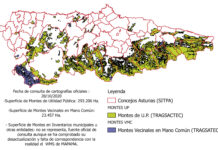 Concepción Pérez: «La Administración debería investigar de oficio los montes vecinales en mano común»