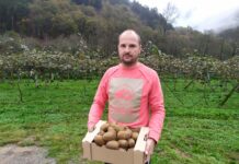 Kiwis de Alvariza, en Belmonte de Miranda, se estrena en la venta directa