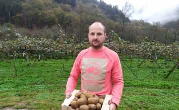 Kiwis de Alvariza, en Belmonte de Miranda, se estrena en la venta directa