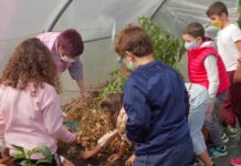 La salud, principal motivo para tomar alimentos ecológicos