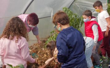 La salud, principal motivo para tomar alimentos ecológicos