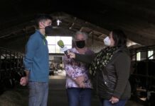 Ganadería de María Soledad Rubio de Ordial de la Barca (Tineo)