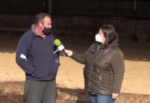 IV Subasta on line de raza Asturiana de los Valles