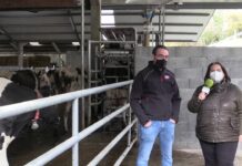 Entrevista a Iván Freije de Ganadería Freixe (Santa Eulalia de Oscos)