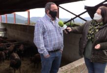 Entrevista a Juan Balsera Álvarez, SAT Aliba en La Sala (Salas)