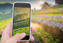 Luis Planas: «Apoyaremos la transformación digital del sector agrario»