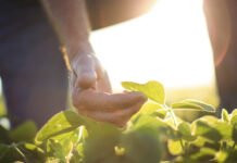 Garantizada la continuidad del pago de las ayudas de la PAC en 2021 y 2022