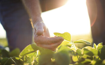 Garantizada la continuidad del pago de las ayudas de la PAC en 2021 y 2022