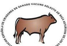 Varias precandidaturas dispuestas a tomar las riendas de ASEAVA