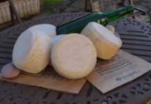 PROGRAMA 6. Mirando al futuro, presente y futuro de los quesos asturianos