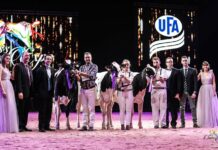 SwissExpo cancela su edición 2021, el próximo año coincidirá con su 25 aniversario