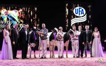 SwissExpo cancela su edición 2021, el próximo año coincidirá con su 25 aniversario