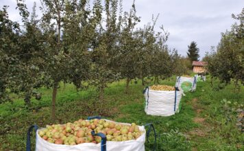 Campoastur: “Producción ecológica y biodiversidad para la pomarada del Enguilu”
