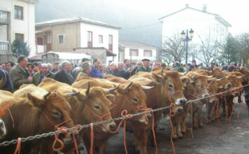 Tineo cancela la Feria de San Blas y la Feria del Perro