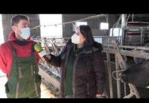 Entrevista a Jairo Suárez Fernández de Ganadería Poyo S.C. en Piedrafita (Valdés)