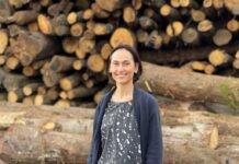 Maderas Siero, la tecnología al servicio de la eficiencia en el sector forestal