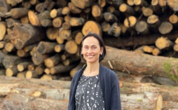 Maderas Siero, la tecnología al servicio de la eficiencia en el sector forestal