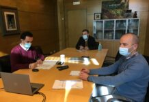 En Asturias se eliminaron 8.600 nidos de avispa asiática en 2020