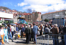 Tineo cancela la tradicional feria de San José y el Concurso Morfológico Equino