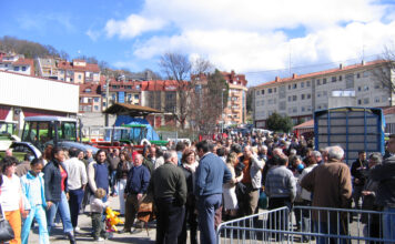 Tineo cancela la tradicional feria de San José y el Concurso Morfológico Equino