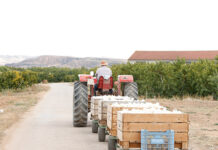 UPA pide tener en cuenta al campo en la vacunación