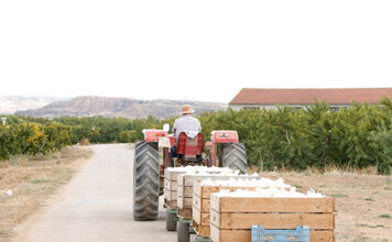 UPA pide tener en cuenta al campo en la vacunación