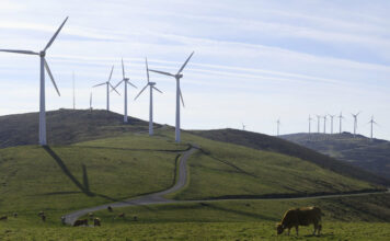 La normativa autonómica impide instalar parques eólicos en espacios protegidos