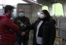 Entrevista a Cuco Nieto y Eduardo García Morán sobre el proyecto ICORE