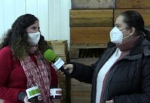 Entrevista a Mabel Tuñón, productora de miel Ería de Valles