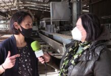 Entrevista a Susana Martínez, gerente del Grupo Siero (Maderas Siero y Siero Lam)