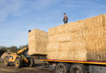 UPA pide un plan de choque contra la siniestralidad laboral en el campo