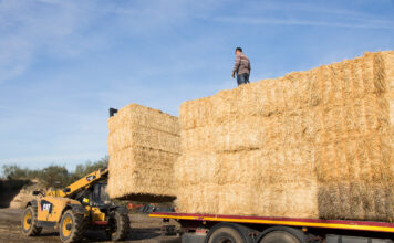 UPA pide un plan de choque contra la siniestralidad laboral en el campo