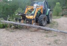 Asturias constituye el comité de prevención y lucha contra los incendios forestales